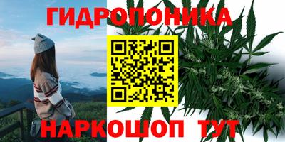 гашик Донецк