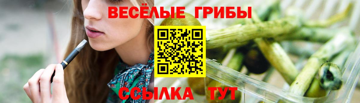 Псилоцибиновые грибы Psilocybe  Вход с VPN  Набережные Челны 