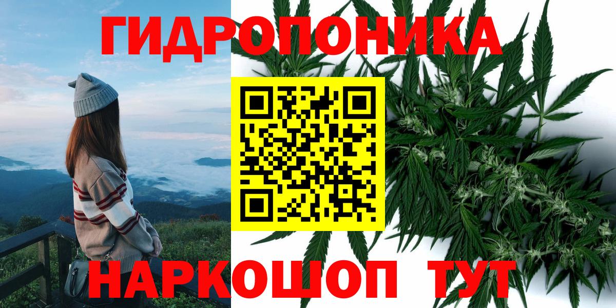 Бошки Шишки план Набережные Челны